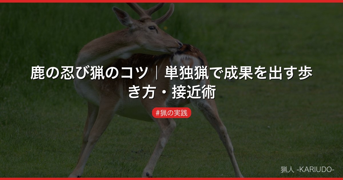 鹿の忍び猟のコツ｜単独猟で成果を出す歩き方・接近術