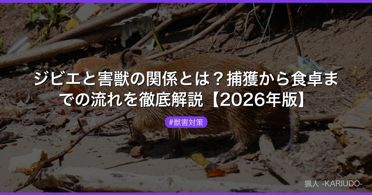 ジビエと害獣の関係とは？捕獲から食卓までの流れを徹底解説【2026年版】