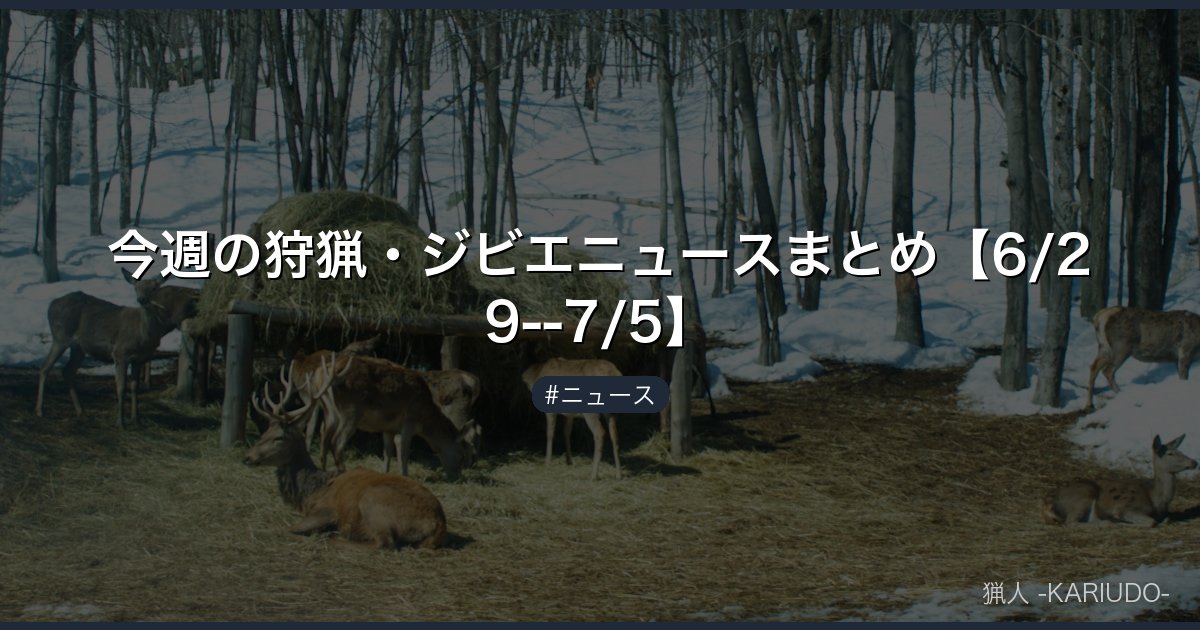 今週の狩猟・ジビエニュースまとめ【6/29--7/5】