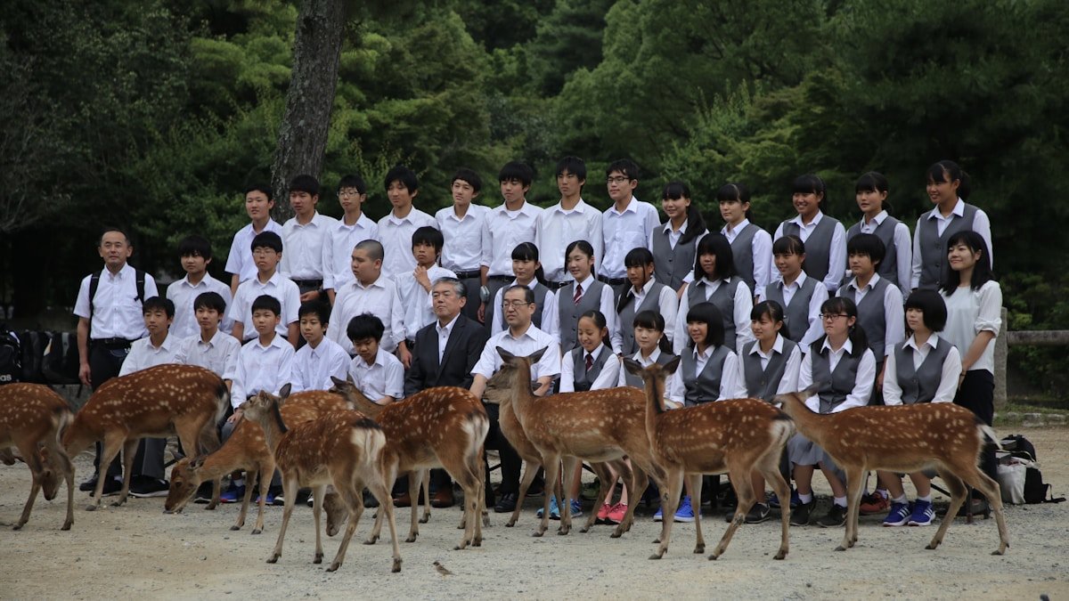 2026 07 11 gibier saitama guide h2 04