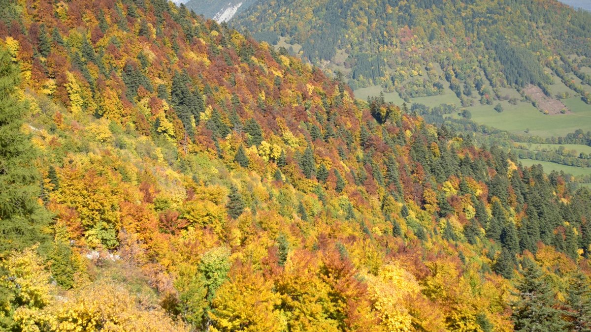 unknown gibier akita guide h2 02