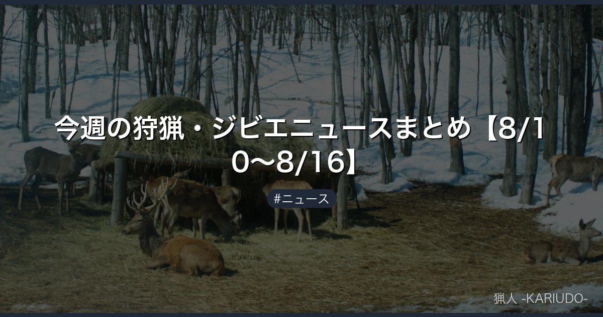 今週の狩猟・ジビエニュースまとめ【8/10〜8/16】