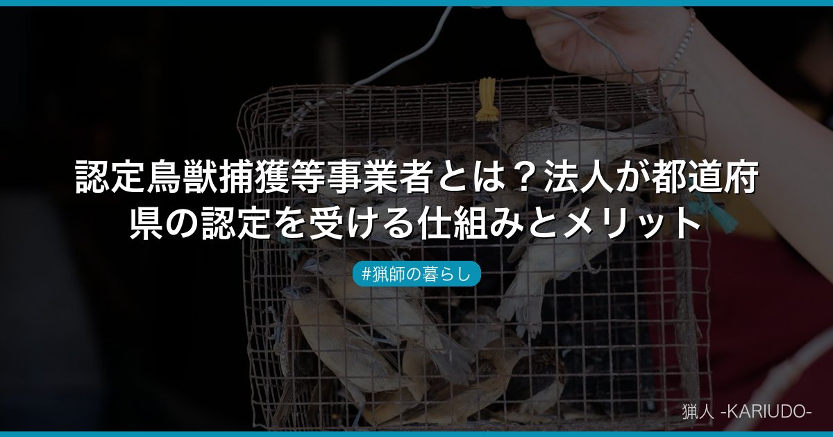 認定鳥獣捕獲等事業者とは？法人が都道府県の認定を受ける仕組みとメリット