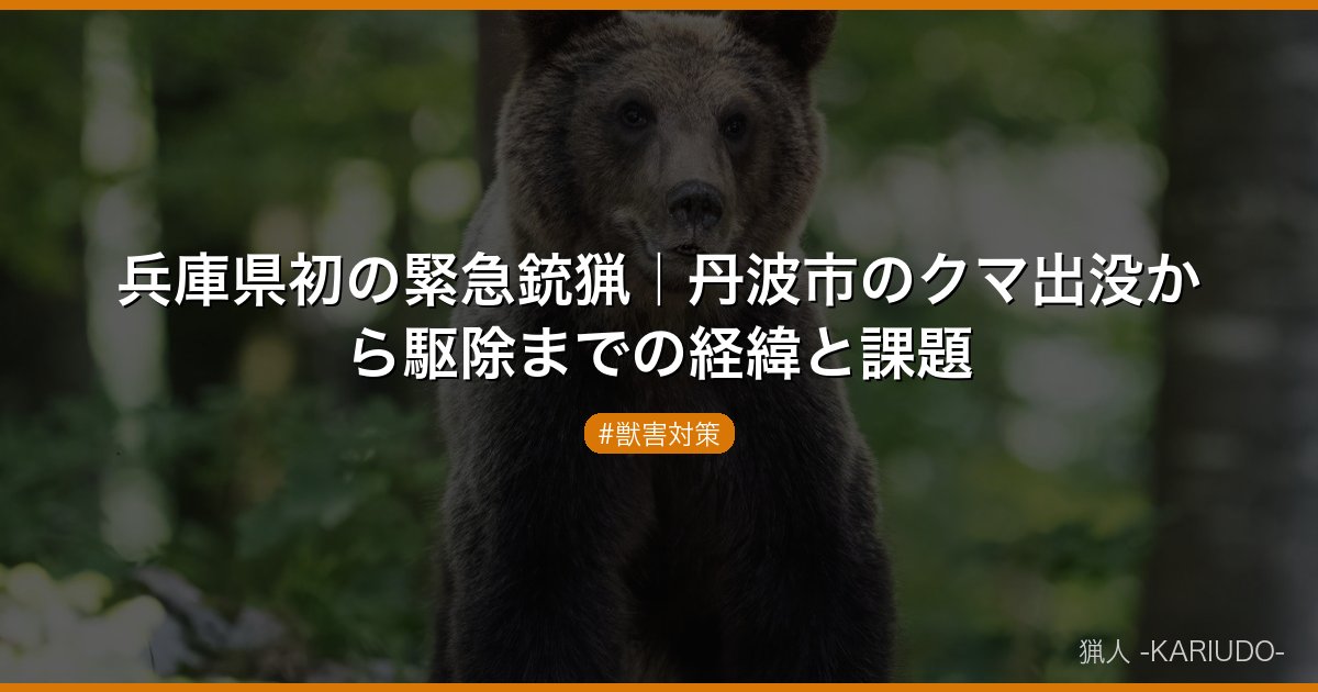 兵庫県初の緊急銃猟｜丹波市のクマ出没から駆除までの経緯と課題