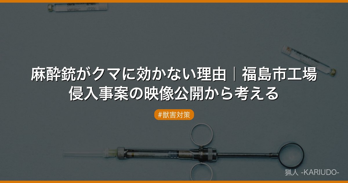 麻酔銃がクマに効かない理由｜福島市工場侵入事案の映像公開から考える