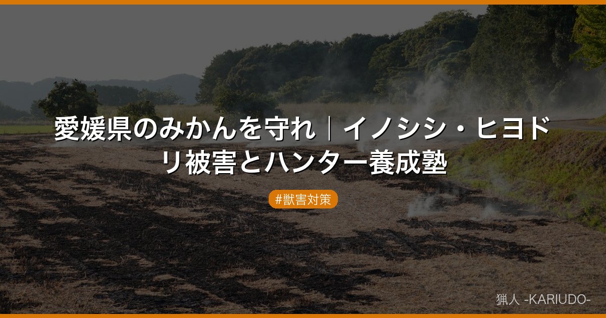 愛媛県のみかんを守れ｜イノシシ・ヒヨドリ被害とハンター養成塾